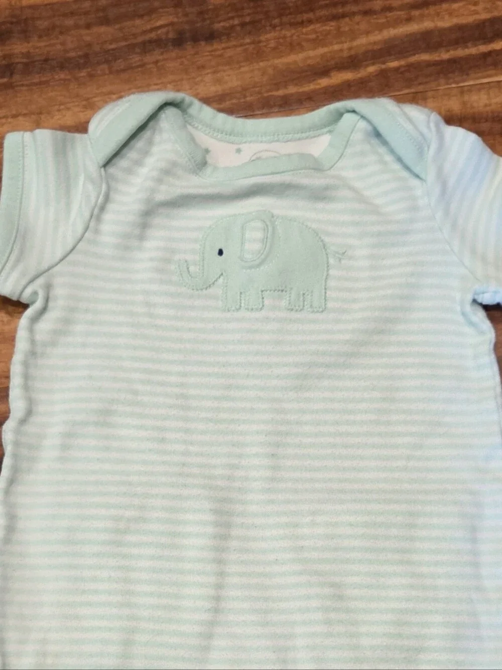Gymboree NWT/GUC 6-12 Months Minto Green Striped Elephant Romper and Socks (2)